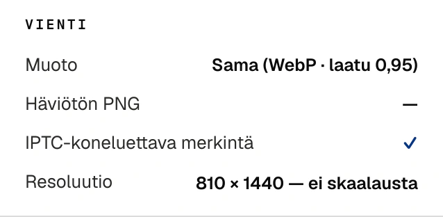 Vientipaneeli: tiedostomuoto, laatu ja koneluettavan IPTC-merkinnän valinta